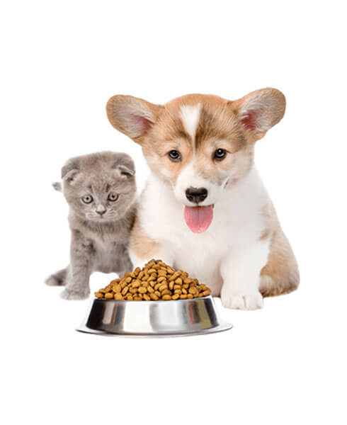 Pet food