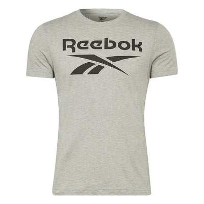 Men’s Short Sleeve T-Shirt Reebok BIG LOGO TEE HD4219 Grey