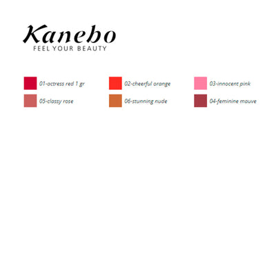 Crayon à lèvres Colours Kanebo