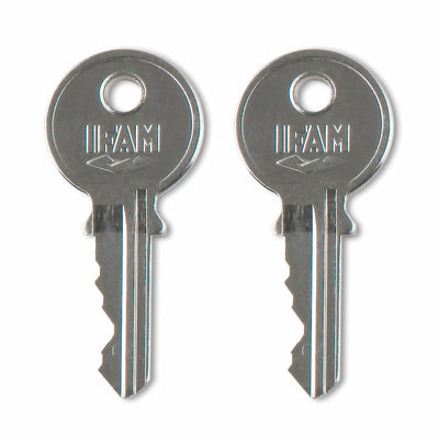 Cadeado com chave IFAM K50AL Latão Comprido (5 cm)