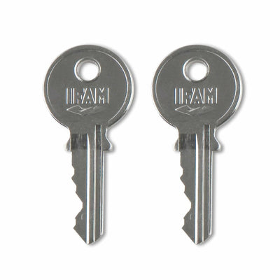 Cadeado com chave IFAM INOX 50 Aço inoxidável normal (5 cm)