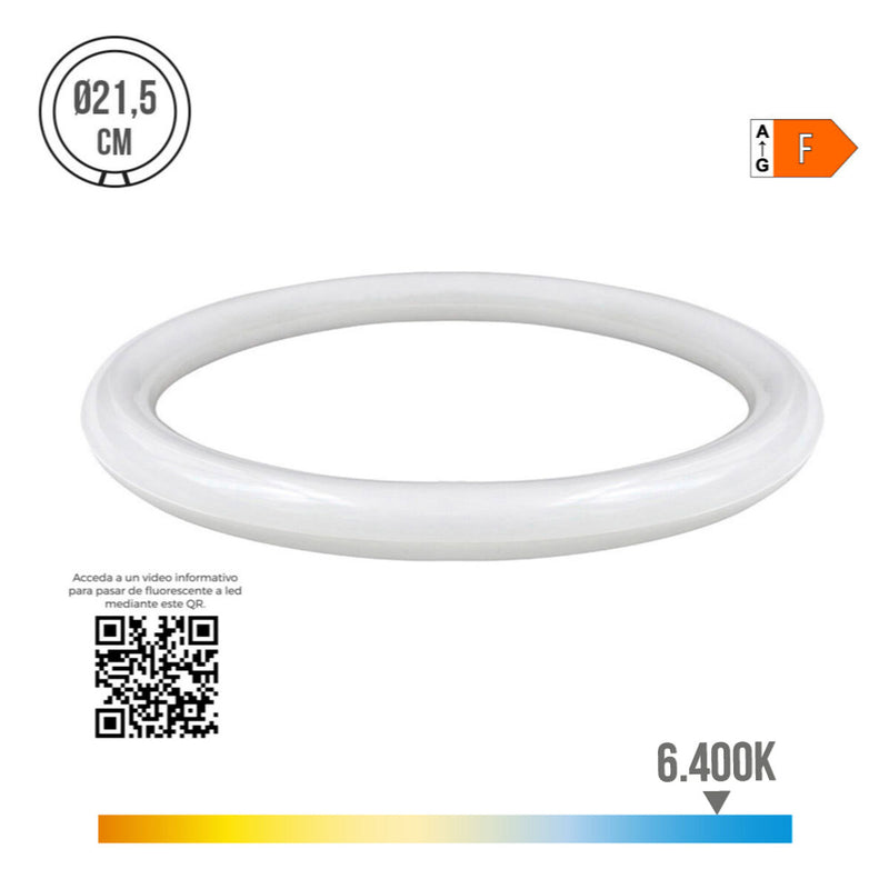 Tube LED EDM Circulaire G10Q F 15 W 1500 lm (6400 K)