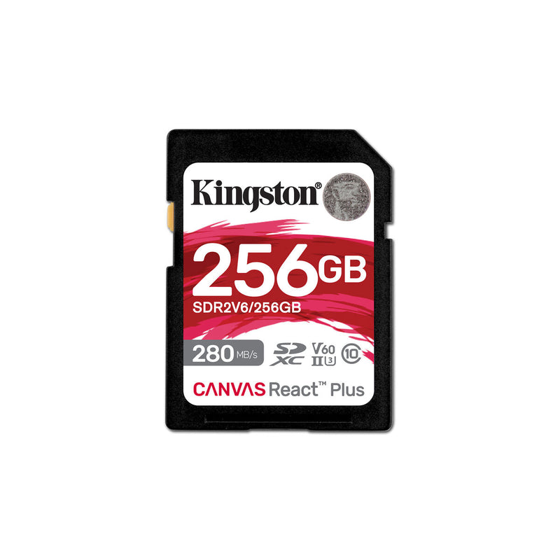 Carte Mémoire SDXC Kingston SDR2V6/256GB 256 GB