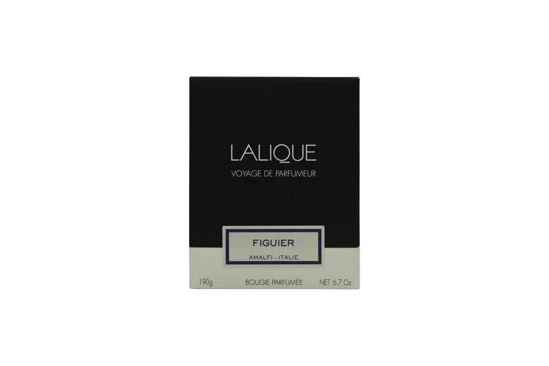 Lalique Candle 190g - Figuier Amalfi