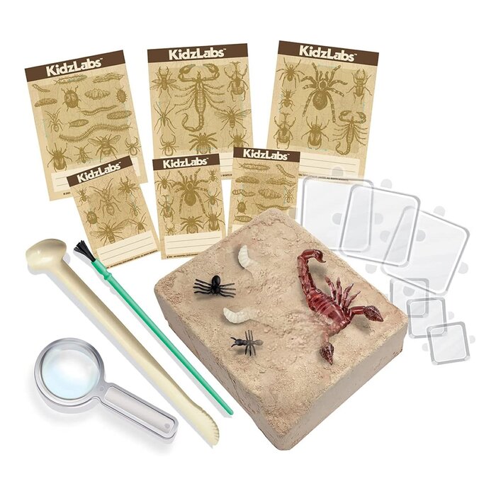 Kidzlabs/creepy Crawly Digging Kit - 37x18x22.5mm