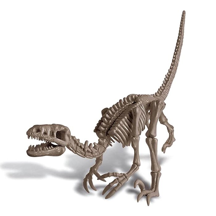 Kidzlabs/dig A Dinosaur Skeleton/velociraptor - 37x18x22.5mm