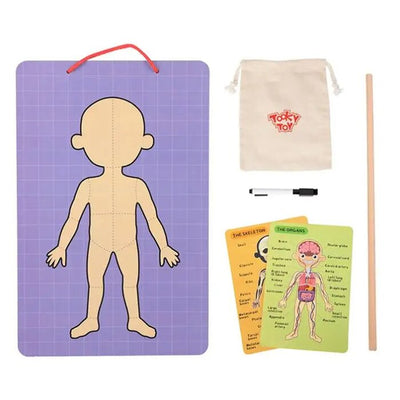 Body Magnetic Chart - 30x40x1cm