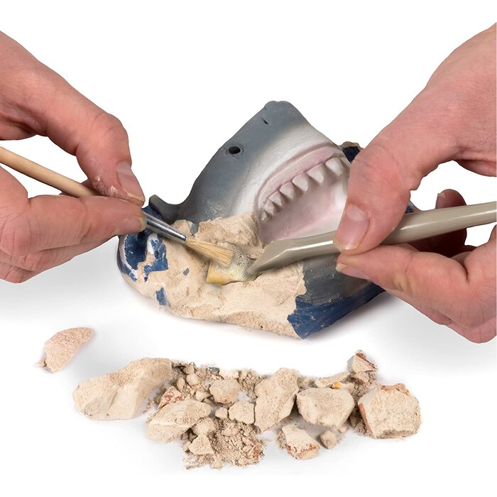 National Geographic Shark Tooth Dig Kit - 18 x 6 x 25cm