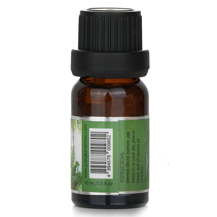 Fragrance Oil - # Tropical Forest - 10ml/0.3oz