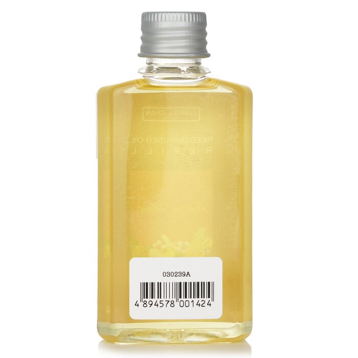 Reed Diffuser Refill - # Fruity Mint - 100ml/3.38oz