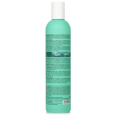 Sensorial Mint Shampoo - 300ml/10.1oz