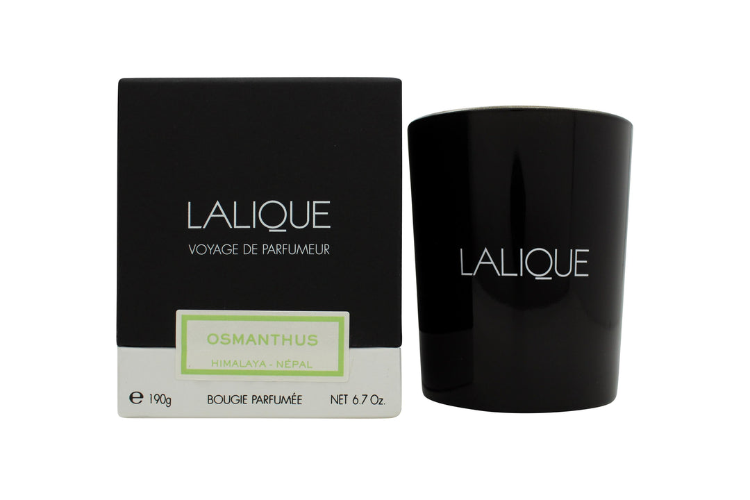 Lalique Candle 190g - Osmanthus Himalaya