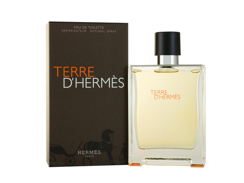 Hermès Terre d&