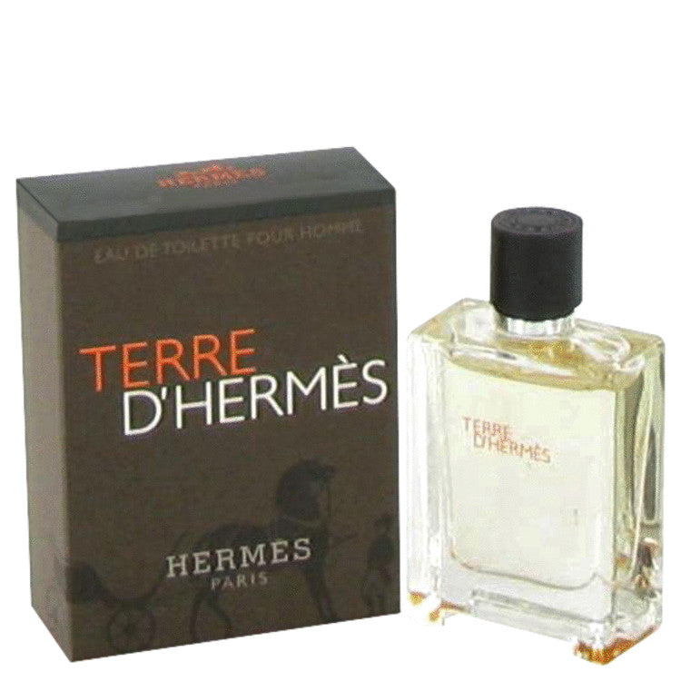 Terre D&