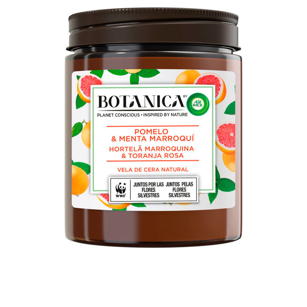 BOTANICA CANDLE grapefruit & mint 205 gr