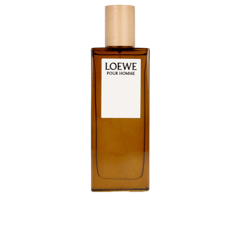 LOEWE POUR HOMME edt spray 100 ml