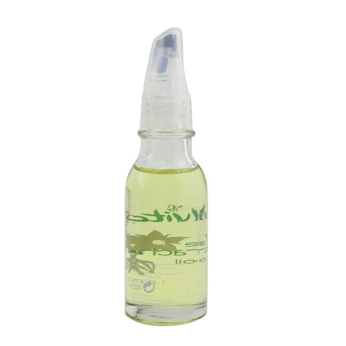 Borage Oil - 50ml/1.6oz