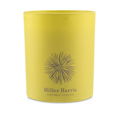 Candle - Reve De Verger - 185g/6.5oz