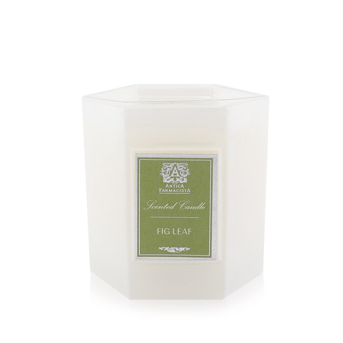 Candle - Fig Leaf - 255g/9oz