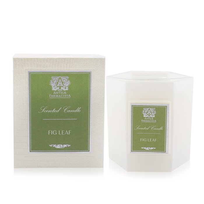 Candle - Fig Leaf - 255g/9oz