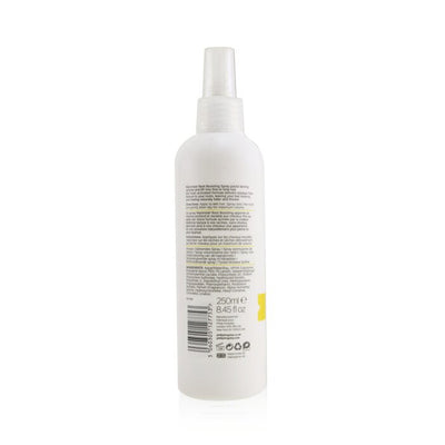 Maximizer Root Boosting Spray (volumises And Lifts Fine Hair) - 250ml/8.45oz