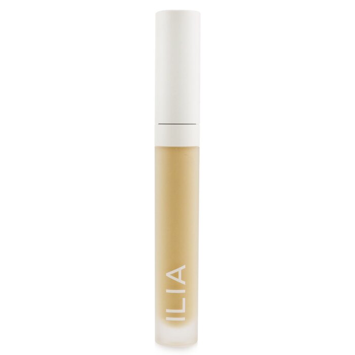 True Skin Serum Concealer - 