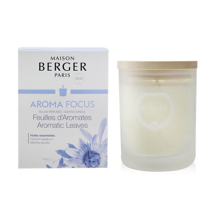 Scented Candle - Aroma Focus - Scented Candle