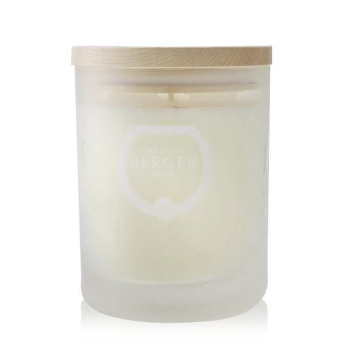 Scented Candle - Aroma Focus - Scented Candle