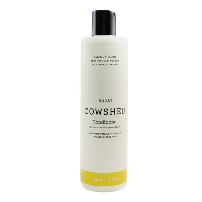 Boost Conditioner - 300ml/10.14oz