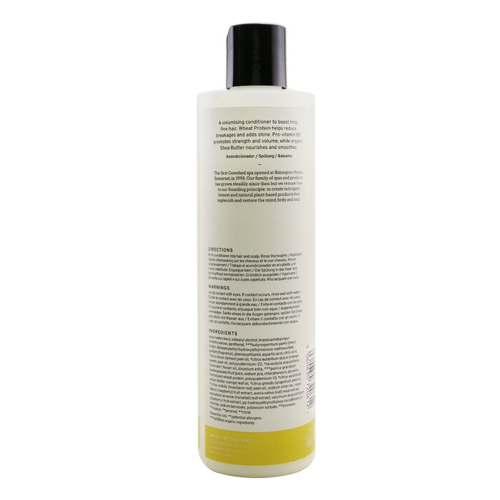 Boost Conditioner - 300ml/10.14oz