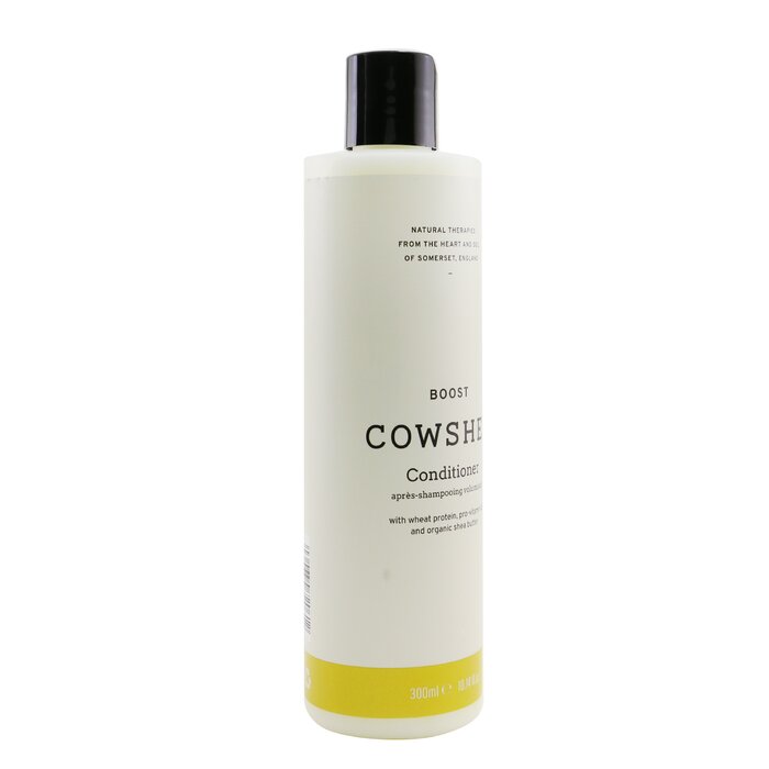 Boost Conditioner - 300ml/10.14oz