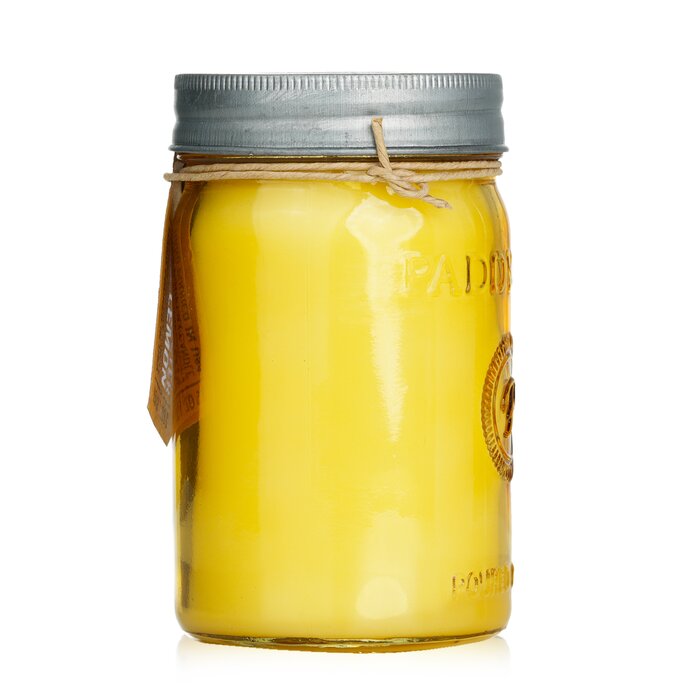 Relish Candle - Fresh Meyer Lemon - 269g/9.5oz