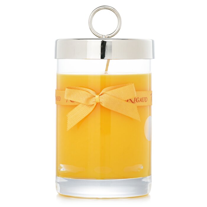 Scented Candle - # Tournesol - 230g/8.11 oz