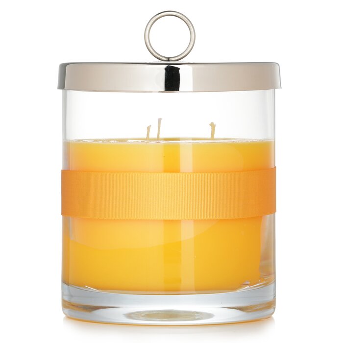 Scented Candle - # Tournesol - 750g/26.45oz