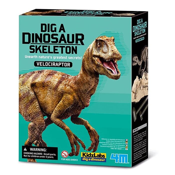 Kidzlabs/dig A Dinosaur Skeleton/velociraptor - 37x18x22.5mm