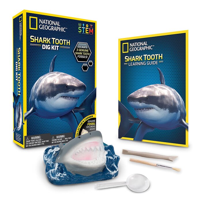 National Geographic Shark Tooth Dig Kit - 18 x 6 x 25cm