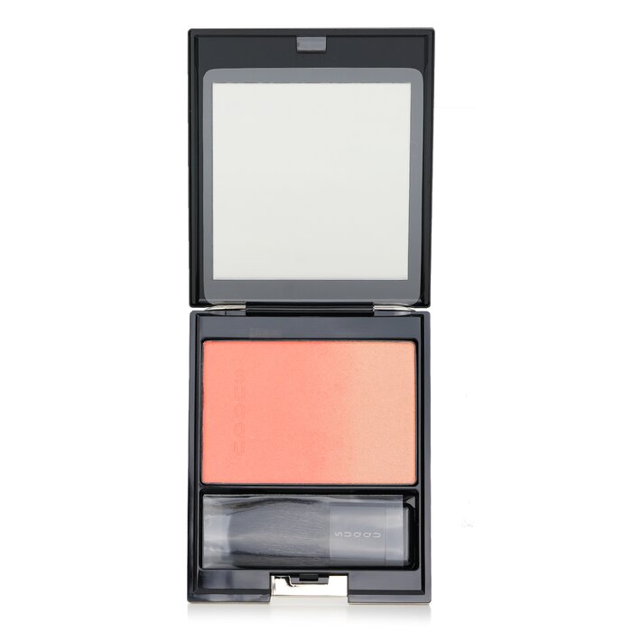 Pure Color Blush - 